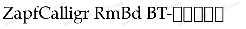 ZapfCalligr RmBd BT字体转换
